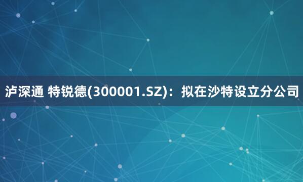泸深通 特锐德(300001.SZ)：拟在沙特设立分公司