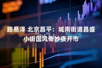 路易泽 北京昌平：城南街道昌盛小街国风奇妙夜开市