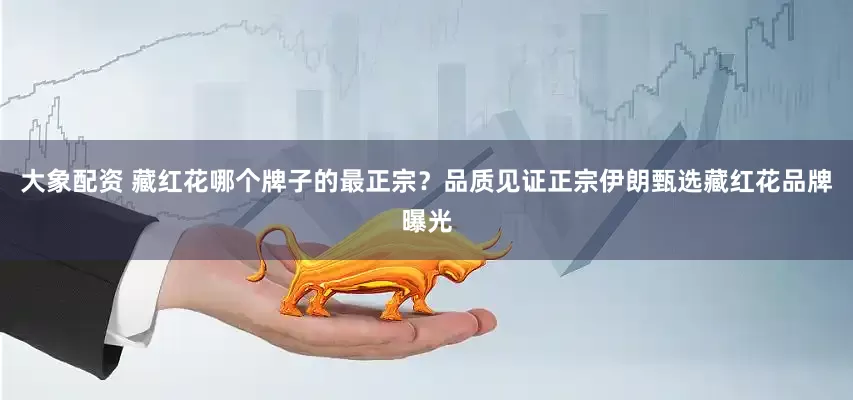 大象配资 藏红花哪个牌子的最正宗？品质见证正宗伊朗甄选藏红花品牌曝光