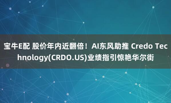 宝牛E配 股价年内近翻倍！AI东风助推 Credo Technology(CRDO.US)业绩指引惊艳华尔街