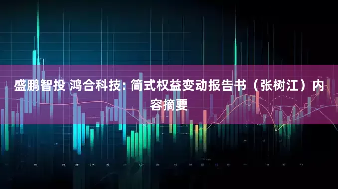 盛鹏智投 鸿合科技: 简式权益变动报告书（张树江）内容摘要